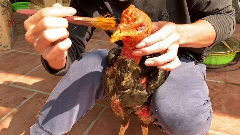 Thành Phần Và Công Dụng Của Rượu Bóp Gà Chọi